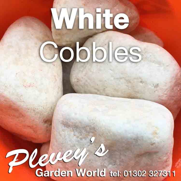 White Cobble