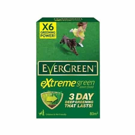 Evergreen Extreme Green 80m2