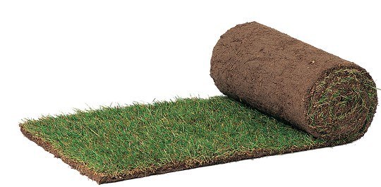 Stadium Turf